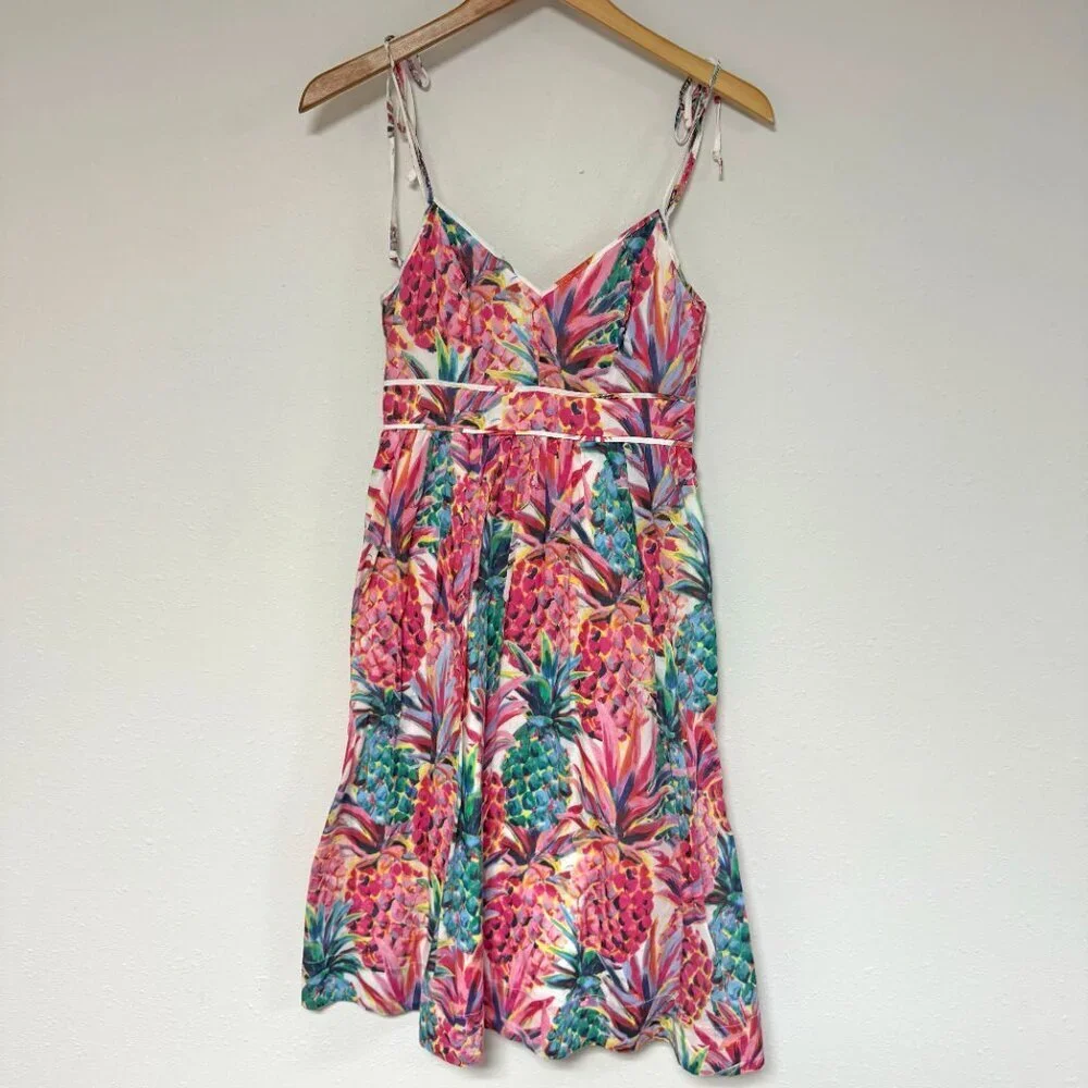 J.Crew Painted Pineapple Print Dress